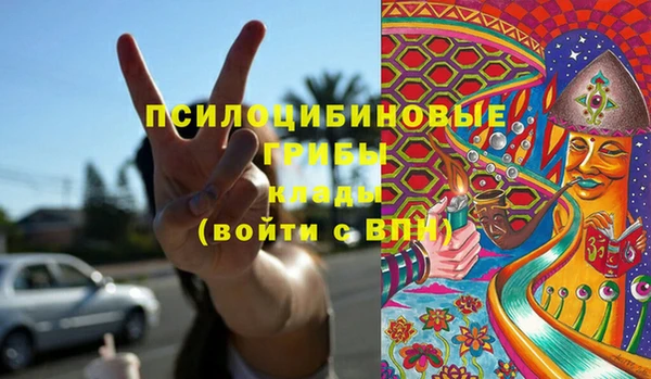 круглые Алзамай
