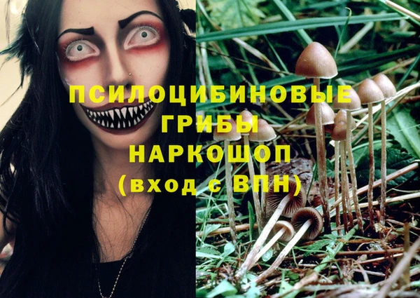 ГАЛЛЮЦИНОГЕННЫЕ ГРИБЫ Алексеевка